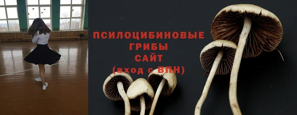 герыч Верхний Тагил