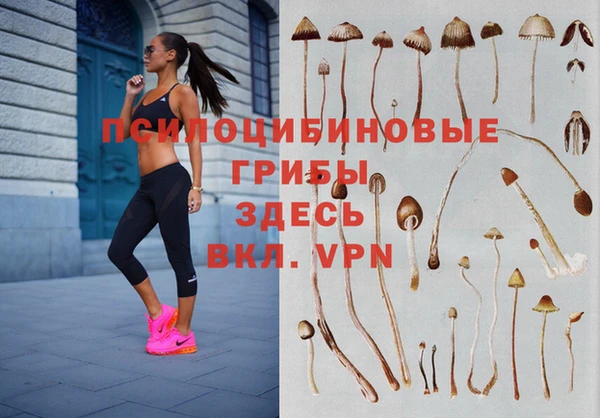 индика Верхнеуральск