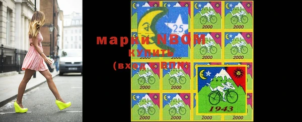 индика Верхнеуральск