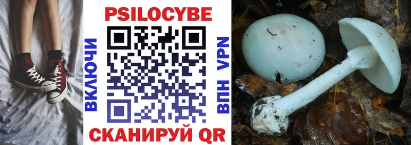 Галлюциногенные грибы GOLDEN TEACHER Новошахтинск